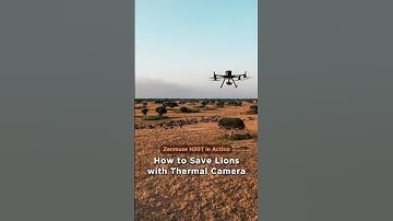 Zenmuse H30T in Action: Protecting Lions with Thermal Tech  #djiinnovation