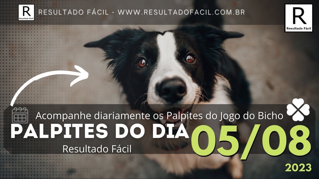 Ganhar Fácil - Palpites Jogo do bicho todas loterias 