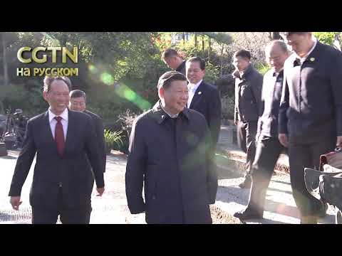 Случайная встреча председателя Си Цзиньпина с туристами
