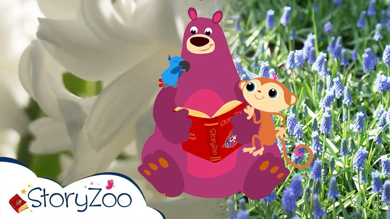 StoryZoo In De Keukenhof 💐 | Hyacint 🪻 & Blauw Druifje 🍇 | Educatieve video's voor kinderen
