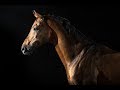 Any Other Way [Equestrian Music Video]