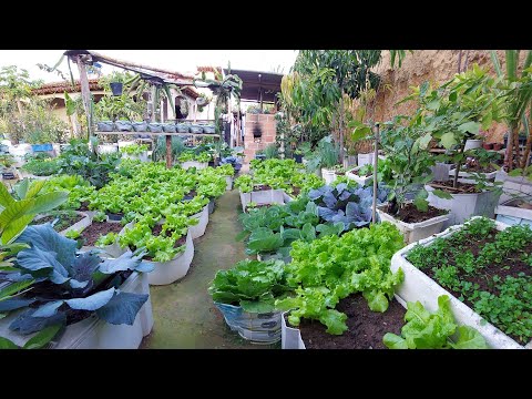 Vídeo: Tamanho de uma horta familiar - Qual o tamanho do jardim alimentará uma família