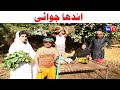 Number daar Andha Jawai New Funny Video | Most Comedy Funny Video | You Tv Hd 2025