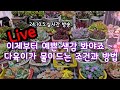 다육이 가을 관리 어떻게 해야 예쁘게 물이들까 조건과 방법 알아봐요 다육이 가을 관리 어떻게 해야 예쁘게 물이들까 조건과 방법 알아봐요