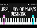 J.S. Bach - Jesu Joy Of Man’s Desiring | EASY Piano Tutorial