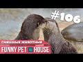 СМЕШНЫЕ ЖИВОТНЫЕ И ПИТОМЦЫ #106 АВГУСТ 2019 | Funny Pet House