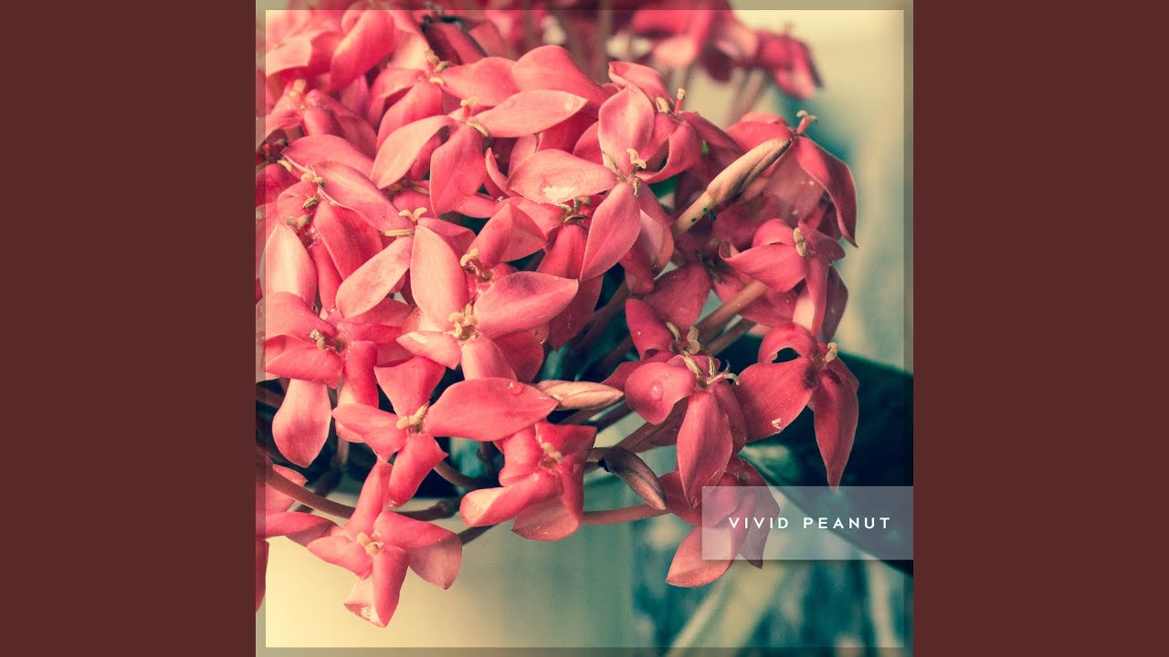 YouTube에서 Drinks 보기 YouTube에서 Drinks 보기