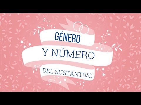 Género y número