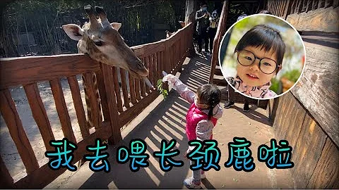 我去喂长颈鹿吃饭啦~| 佛山长鹿旅游休博园 | 女儿和爸爸的疯狂之旅【3】| 珠海亲子游 | 珠海旅游| 佛山顺德 | 12sun&moon vlog | EP75 - 天天要闻