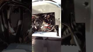 IMG 0495 mov