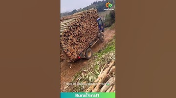 There Are Two Ways to Unload Logs... The "Smart" Way and The "Send It" Way! 😂 #truck #funny
