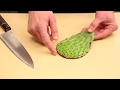 Watch CJ Jacobson Make Cactus Ice