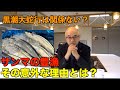 サンマ豊漁を巡るマスコミ報道の勘違い、なぜ今年はサンマが獲れているのか？