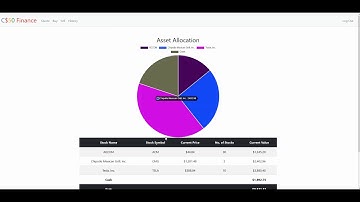 Generating Dynamic Plots with Chart.js in Flask: Add on to CS50‘s Web Track Finance