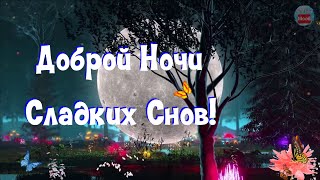 🌙🌸Доброй Ночи Сладких Снов!🌜 🐱Тихо тихо кот крадется, чтоб заснуть у твоих ног✨