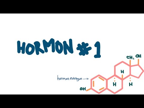 HORMON (1/3) [SISTEM ENDOKRIN, BASIC BIOMEDIK&FISIOLOGI]