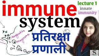 Innate and Adaptive Immunity  / immune system in hindi