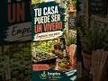 Tu casa puede ser un vivero  #viveros #jardin #plantas #flores
