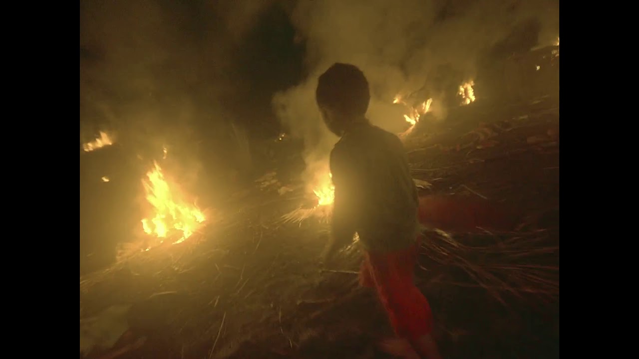 BALANGIGA: HOWLING WILDERNESS - QCinema 2017