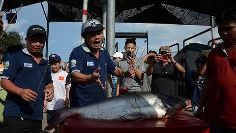 Tài xế mang cá tra đến 