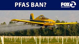 Bill seeks ban on 'forever chemicals' from pesticides used on food crops | KTVU