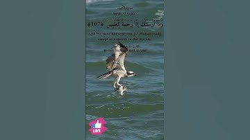 وما ارسلناك إلا رحمة للعالمين | سورة الأنبياء #دعاء_ورسالة Surah Al-Anbiya