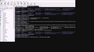 How to Deploy Metadata Dictionary in OBIEE Part 2