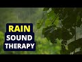 Tinnitus sound therapy  rain water