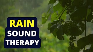Tinnitus Sound Therapy | Rain Water