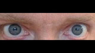 Suddenly Winter visualizer