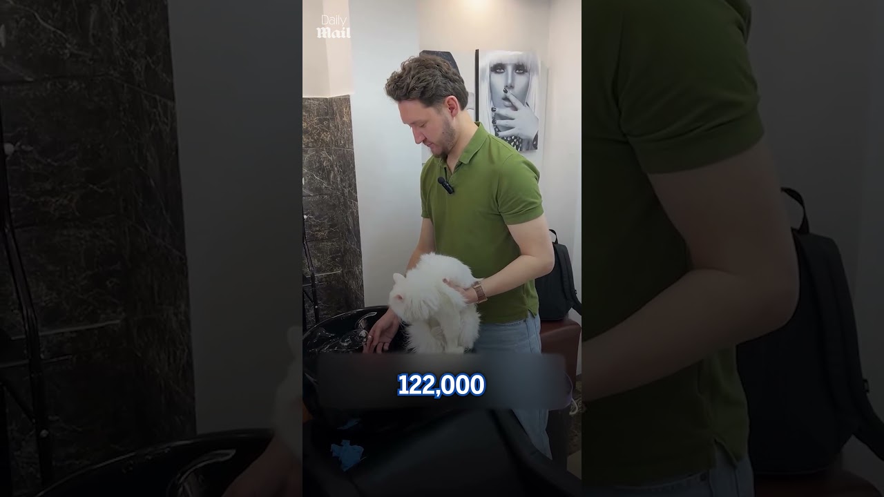 Influencer faces backlash after he dyes cat pink