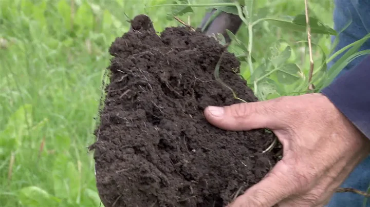 Soil Carbon Field Day with Niels Olsen