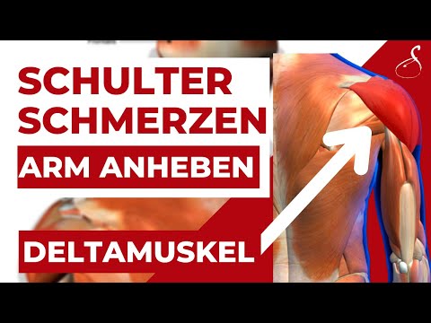 Video: Welcher Muskel addiert die Schulter?