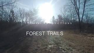 Forest Trail Run