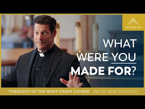 Theology of the Body Crash Course w/ Fr. Mike Schmitz  Session One: From the Beginning