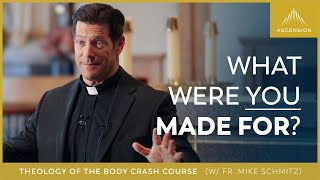 Theology of the Body Crash Course w/ Fr. Mike Schmitz - Session One: From the Beginning