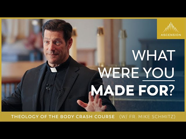 Theology of the Body Crash Course w/ Fr. Mike Schmitz — Session One: From the Beginning class=