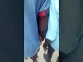 Mnyama Pori Mnyama Pori