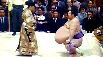 お腹の大きな相撲取り Youtube