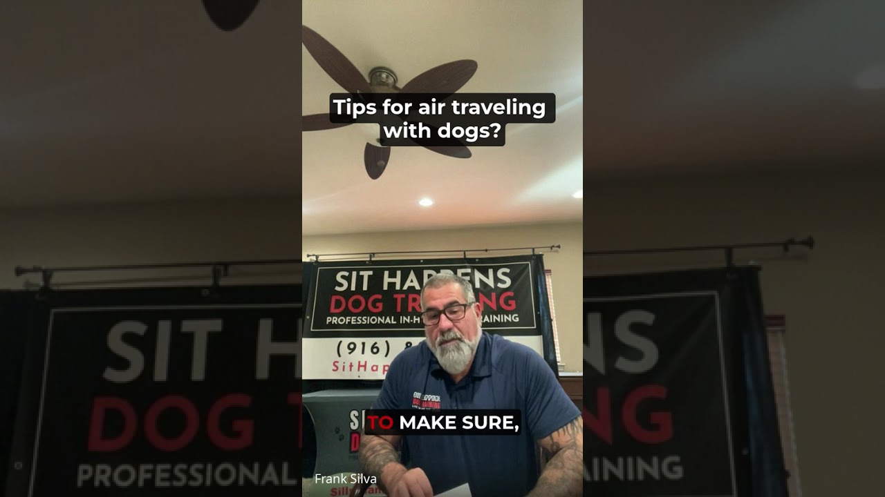 Tips for air traveling with dogs? - Sit Happens Dog Training