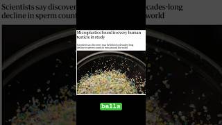 Microplastics Are Everywhere