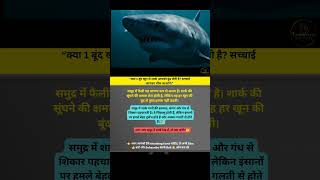 The Silent Hunter Beneath the Waves #shark #shorts #blood #viral #trending