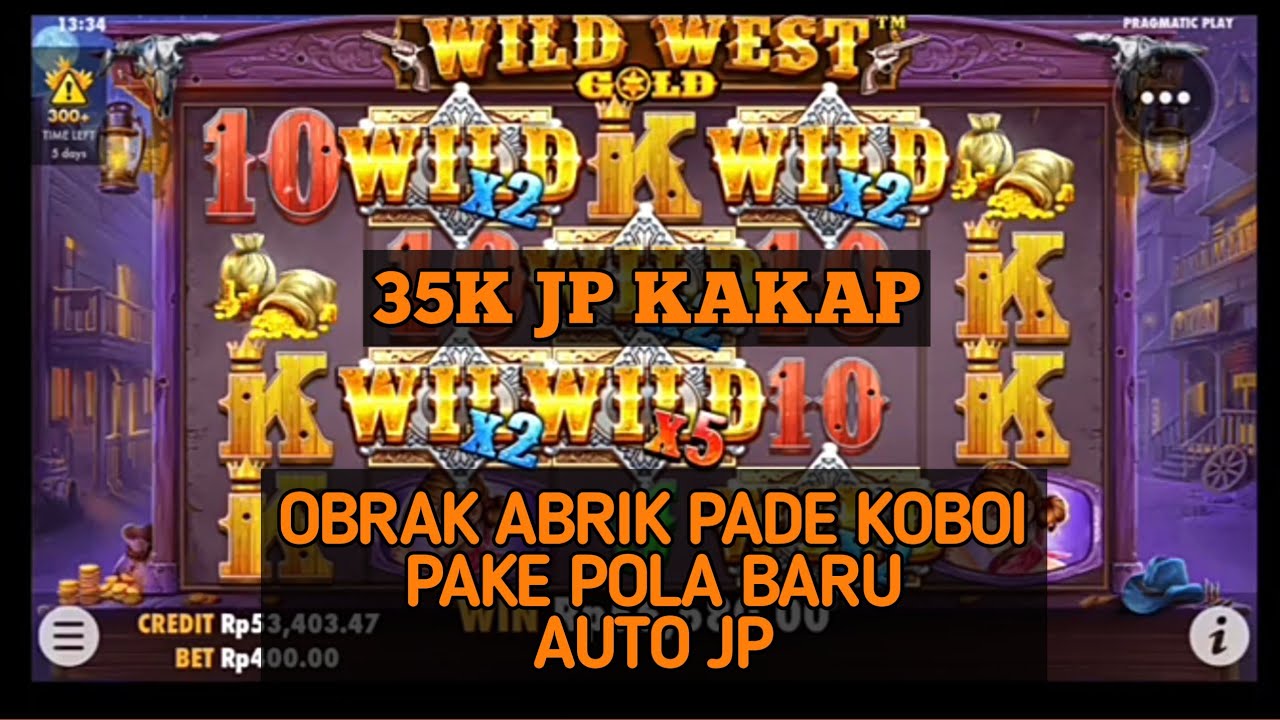 wild west gold pola: Panduan Memahami Fungsi, Cara Menggunakan, dan Batasannya