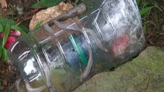 Download How To Make A Slug Trap Video MP3 How To Make A Slug Trap