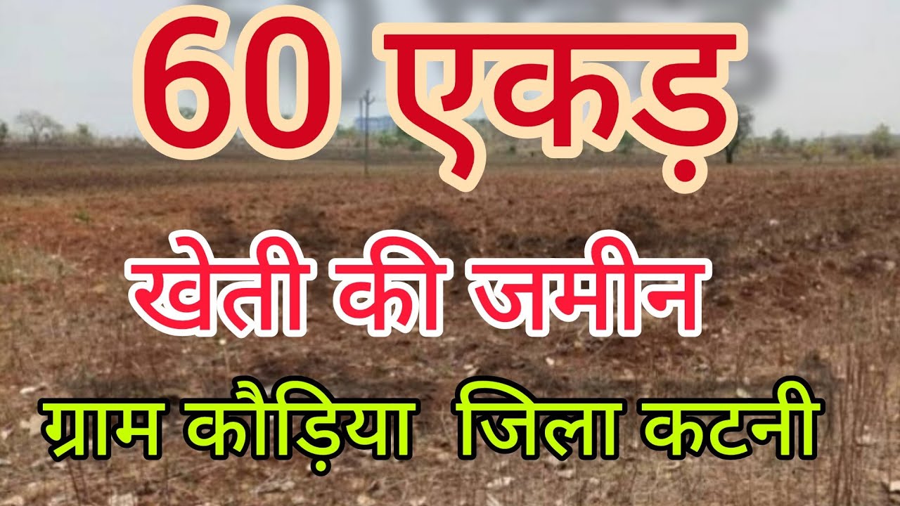 60 Acre Agriculture Land in Village kondiya, Distt. Katni. 