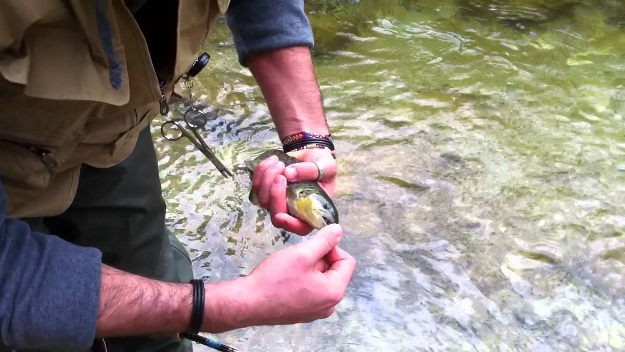 Calaméo - La Pesca Mosca e Spinning Feb-Mar 2020