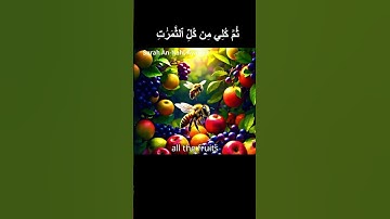 Quran English translation Surah An-Nahl سورة النحل Surat No 16  Ayat No 68/ 69