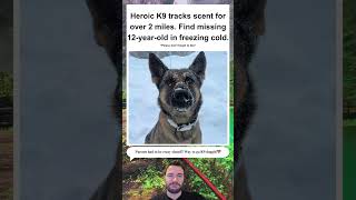 K9 Officer and Dog Track Missing Child in Freezing Night! 🐕❄️👮‍♂️