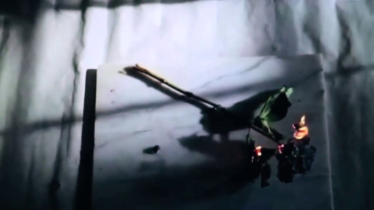 American Pleasure Club - "the miserable vision" (Official Audio)