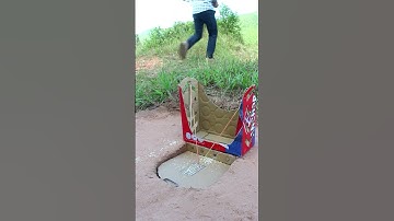 Simple, easy and unique quail trap #shorts #create #traps